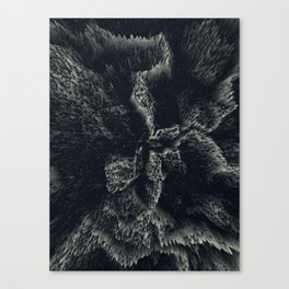 Texture — 02 Canvas Print