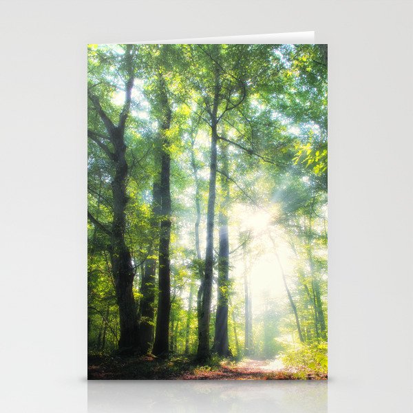 Forest Stationery Cards