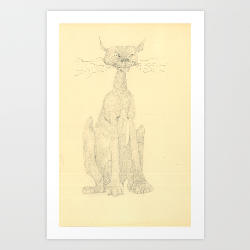 Cat Image Rare Cute Cat Great Piece For All Applications
