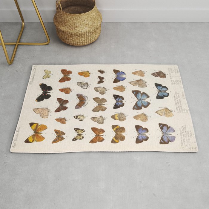 Vintage Scientific Insect Butterfly Moth Biological Hand Drawn Species Art Illustration Rug