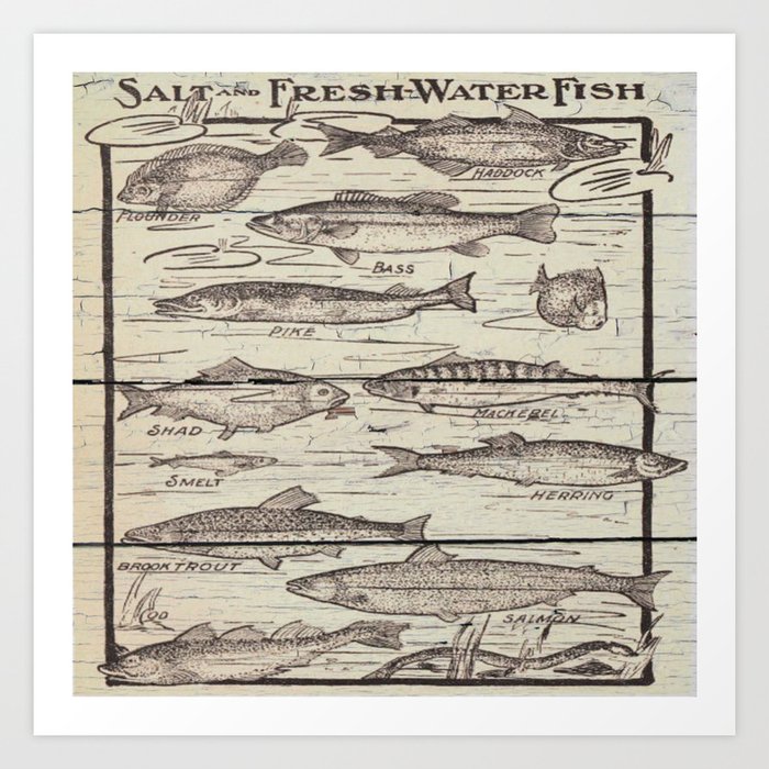 father's day fisherman gifts whitewashed wood lakehouse freshwater fish Art  Print by chicelegantboutique