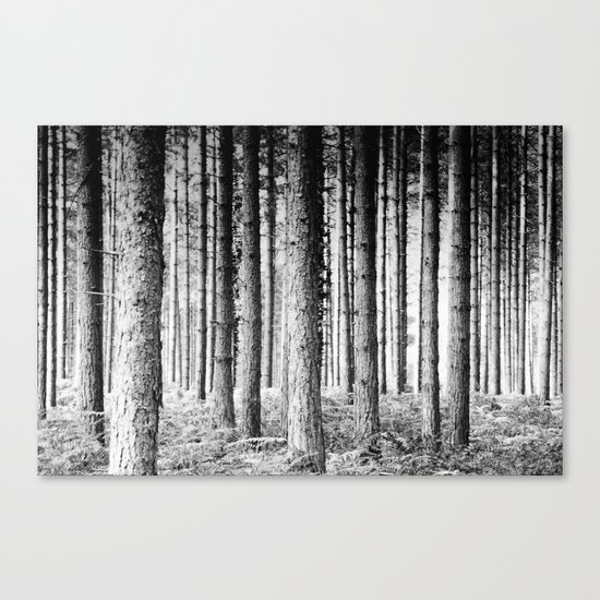 Pine forest Canvas Print