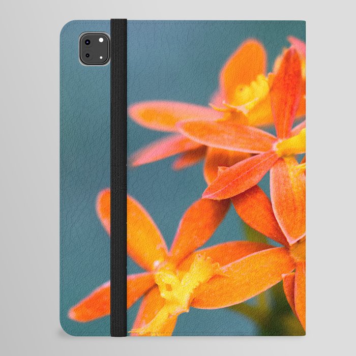 Beautiful Orchid Epidendrum Radicans Close Up Photography With Blue Background iPad Folio Case