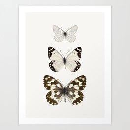 Butterfly Trio - Minimalist Nature Photography in Neutral Colors Art Print