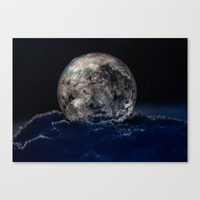 Winter Bubbles I Canvas Print