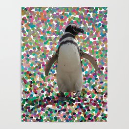 pinguino Poster