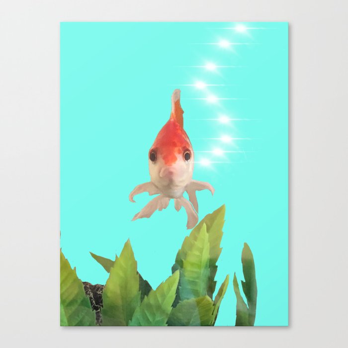Bev the Fish Canvas Print