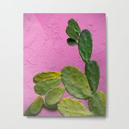 Cactus Pink Metal Print