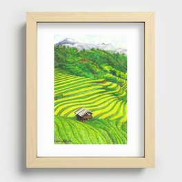 Vietnam Rice Fields Illustration Recessed Framed Print