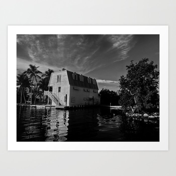 House in the Mangroves Art Print