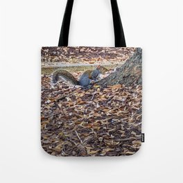 Squirrel at the base of the tree Tote Bag