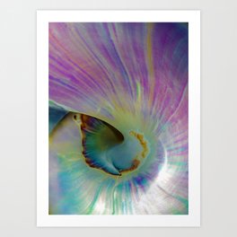 Spiraling Shell Art Print