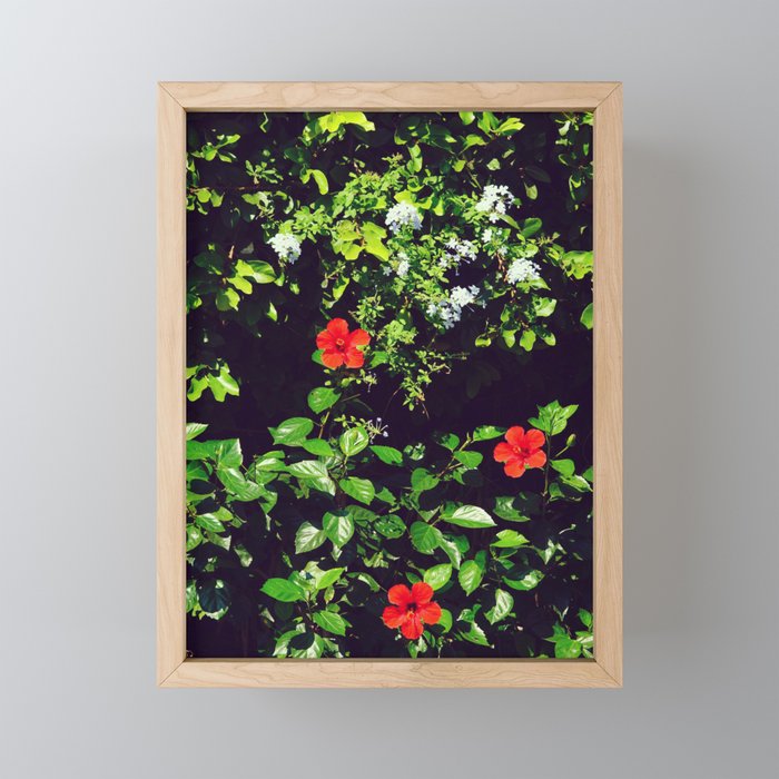 Red Flowers among Green Leaves | Tropical Botanics Framed Mini Art Print