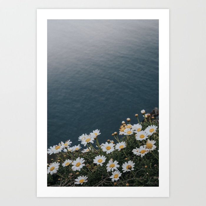 Ocean & Daisies - Landscape and Nature Photograph Art Print