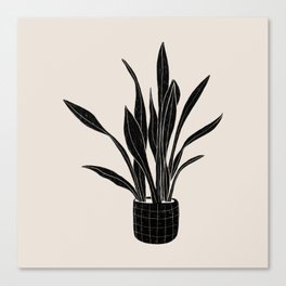 Black & White Plants / Snake Plant Canvas Print