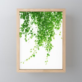 Green Leaves Delight #1 #tropical #decor #art #society6 Framed Mini Art Print