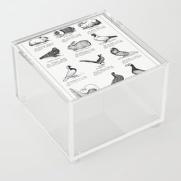 Domestic Pet (The Open Door to Independence) Acrylic Box