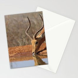 South Africa Photography - An Impala Drinking Water From A Lake Stationery Card