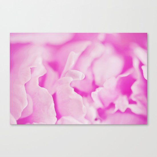 Pink Peony Canvas Print