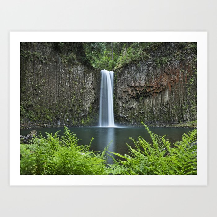 Abiqua Falls, Oregon Art Print