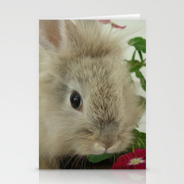 Lionhead Bunny Stationery Cards