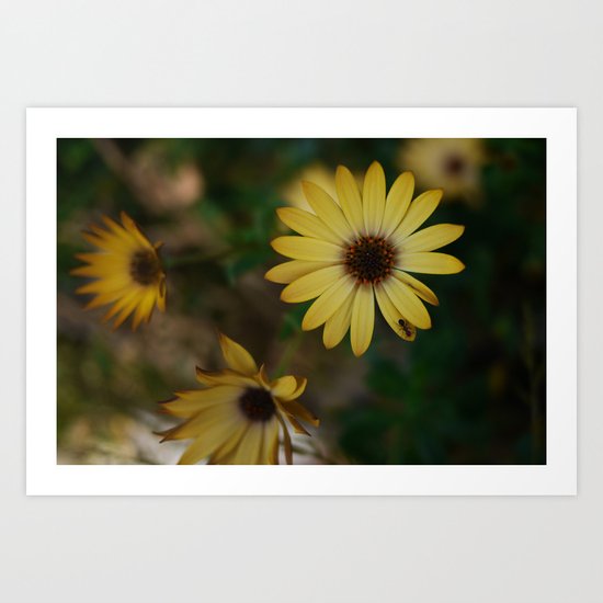 ant Art Print