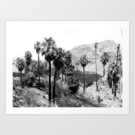 Palm Canyon near Palm Springs c.1901 Art Print