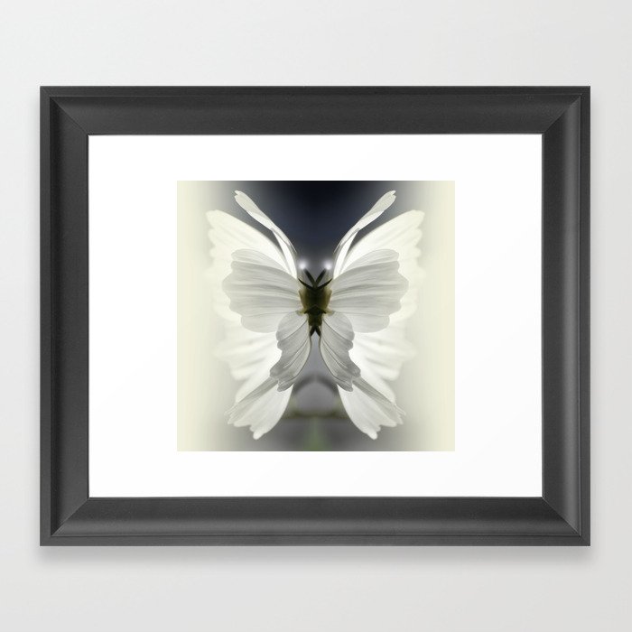 Butterfly Framed Art Print