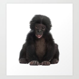 Bonobo Monkey Art Print