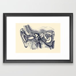 Inner ear anatomy Framed Art Print