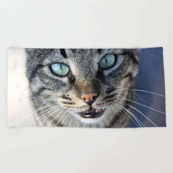 I Follow My Whiskers Tabby Cat Photography Beach Towel