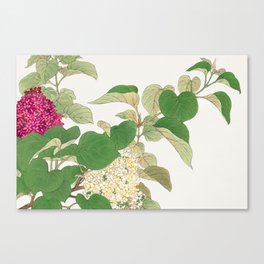 Lilac flower Canvas Print