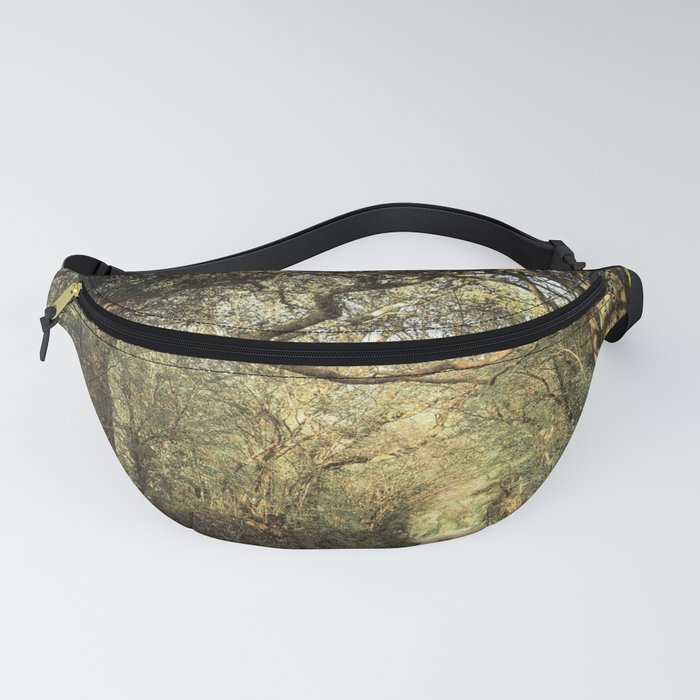 Great Britain Photography - Small Road In The British Forest Fanny Pack