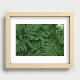 ferns Recessed Framed Print