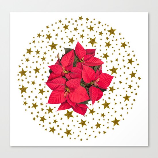 Red Christmas flower and sparkly gold stars Canvas Print