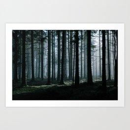 Mystery forest Art Print