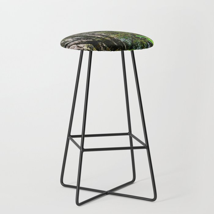 El Corchal | Flooded forest and mangroves in Solferino, Quintana Roo, Mexico Bar Stool
