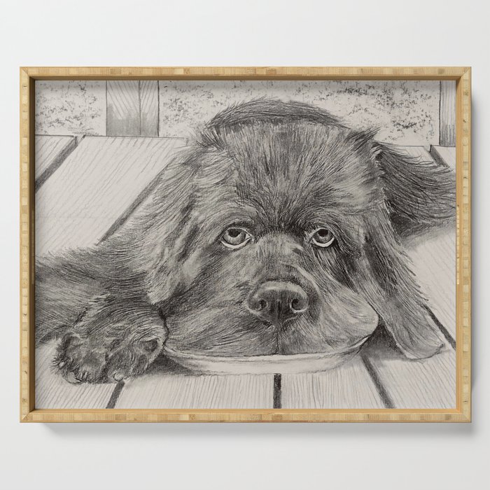 Newfoundland Pup Serving Tray