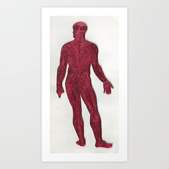 Full Figure Muscle Structure Art Print