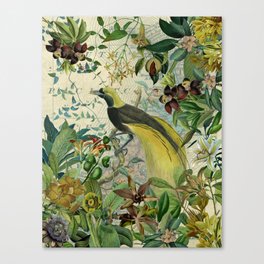 Vintage Botanical Tropical Exotic Birds Jungle Canvas Print