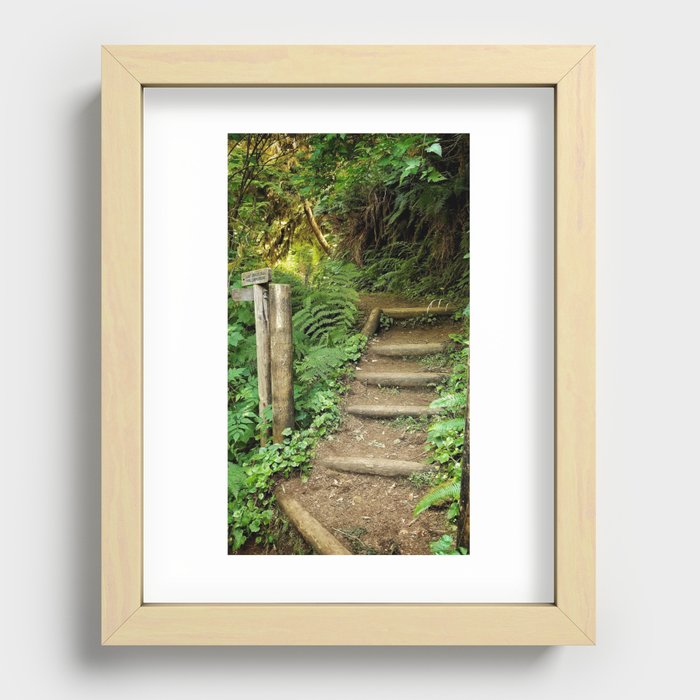 Staircase into the Jungle Recessed Framed Print
