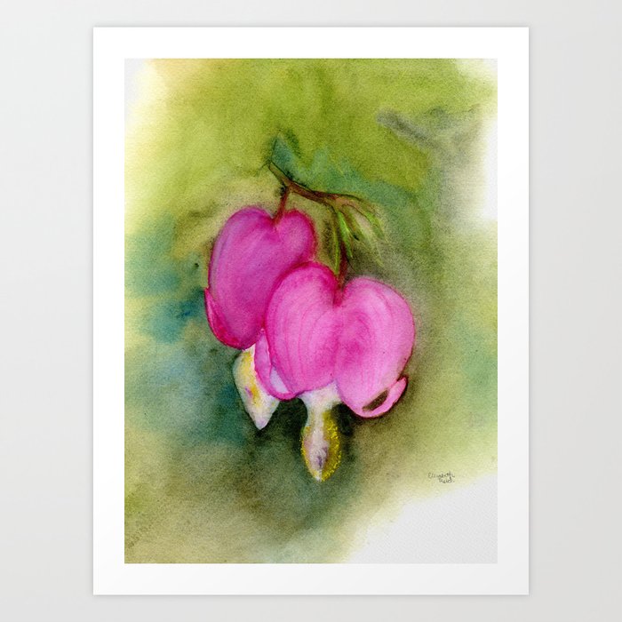 Yesterdays - Pink Bleeding Heart Watercolor Flowers Art Print
