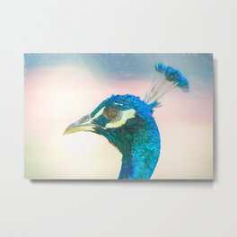 Peacock head coloured pencil look Metal Print