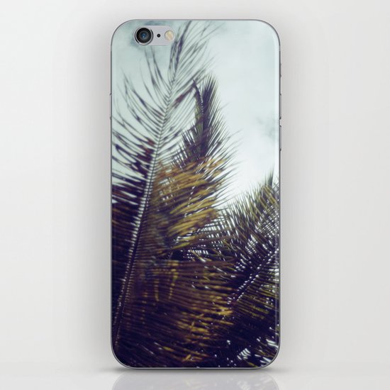 Palm Sky II iPhone & iPod Skin