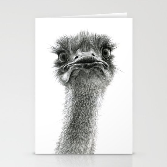 Cute Ostrich SK053 bis Stationery Cards