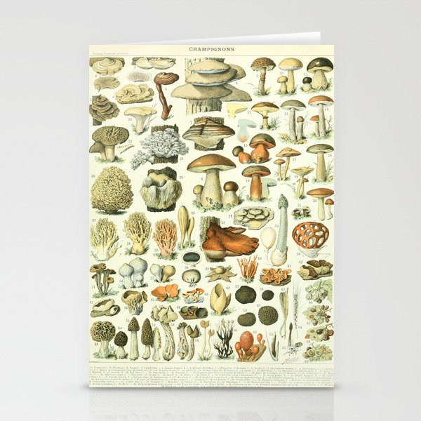 Mushrooms Vintage Illustration Stationery Cards