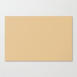 Mid-tone Golden Beige Brown Solid Color Pairs PPG Halo PPG1091-4 - All One Single Shade Hue Colour Canvas Print