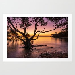 Tropical sunset Art Print