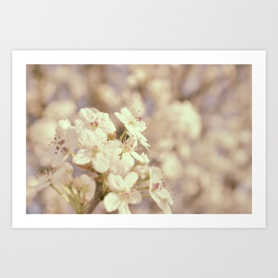 Blossom Art Print