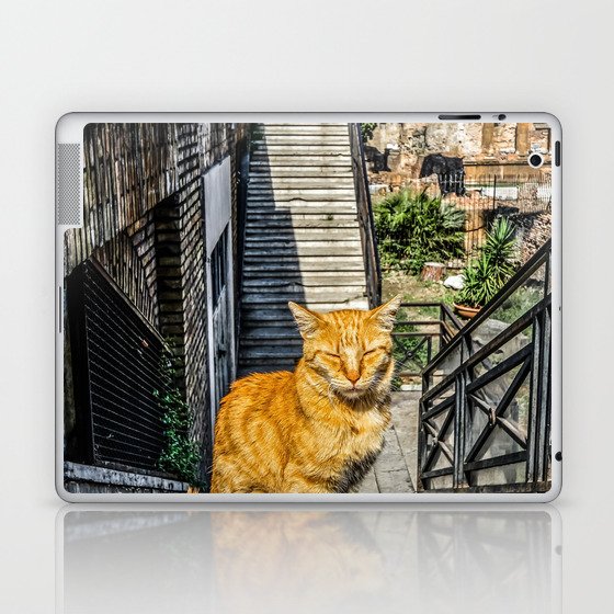 Argentina Photography - Beautiful Orange Cat Standing At The Stone Stairs Laptop & iPad Skin